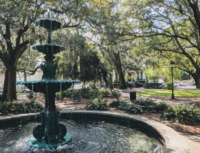 Savannah: Private Guided Highlight's Tour | GetYourGuide