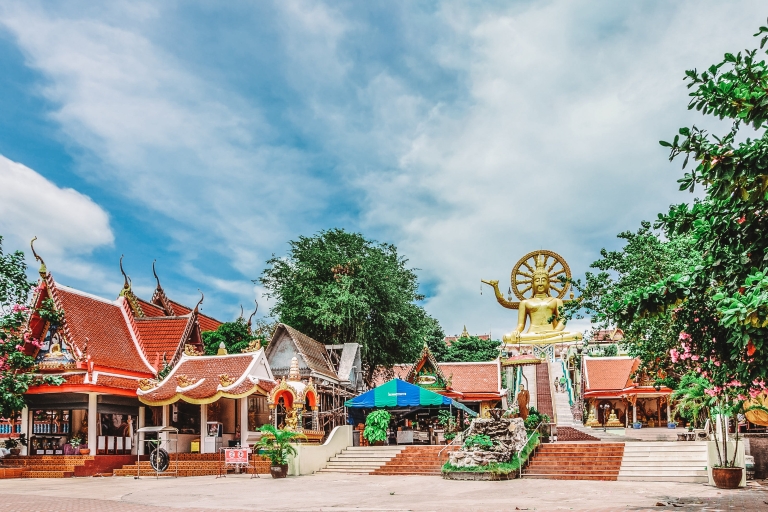 From Bangkok: Customize Your Own Private Pattaya Day Trip German Guide