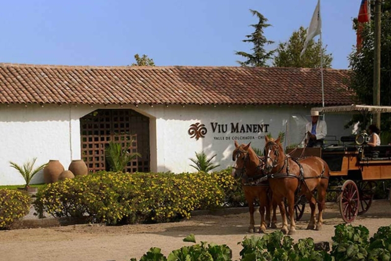 Au départ de Santiago : Tour privé des vins de la vallée de Colchagua avec dégustation