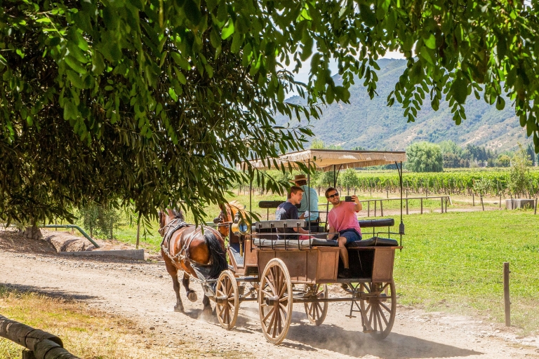 Desde Santiago: Tour Privado de Vinos del Valle de Colchagua con Degustación