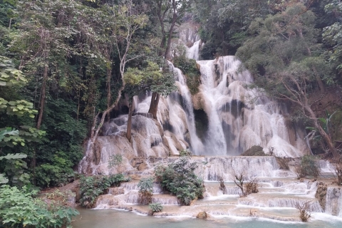 Luang Prabang: clase de cocina de Laos y visita a las cataratas de Kuang Si