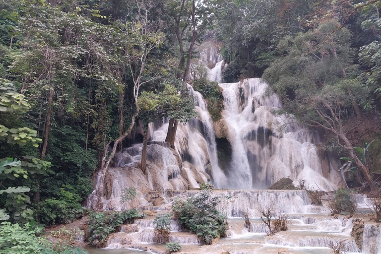 Luang Prabang: clase de cocina de Laos y visita a las cataratas de Kuang Si