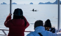 Seward, Resurrection Bay et le Kenai Fjords Orca Cruise - Hizvo