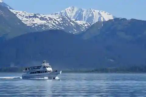 Seward: Resurrection Bay Orca Quest Cruise