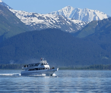 Seward: Resurrection Bay Orca Quest Cruise