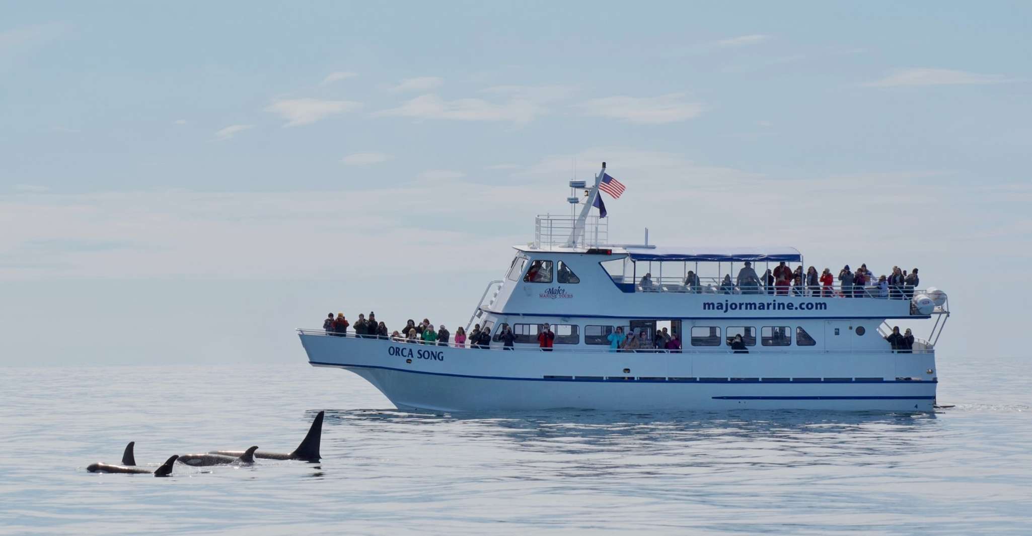 Seward, Resurrection Bay et le Kenai Fjords Orca Cruise - Hizvo