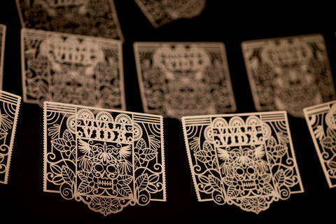 Riviera Maya: Frida Kahlo Museum Guided Tour 2024