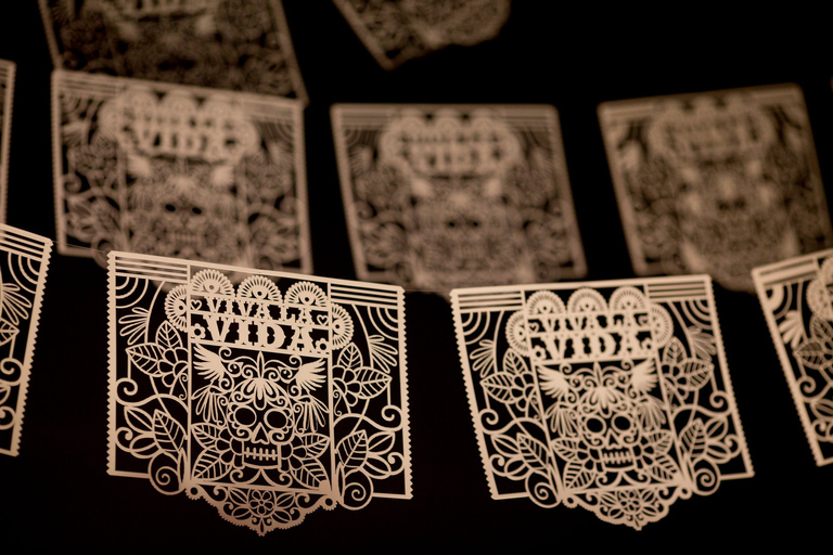 Riviera Maya: Frida Kahlo Museum Guided Tour 2024