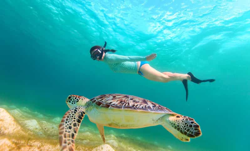 Key West: Sandbar Excursion & Kayak Tour with Lunch & Drinks | GetYourGuide