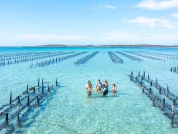 Coffin Bay: Bootstour zur Austernfarm mit Waten und 12 Austern