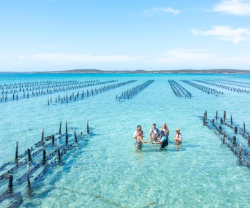 Coffin Bay: Oyster Farm Boat Tour with Wading & 12 Oysters