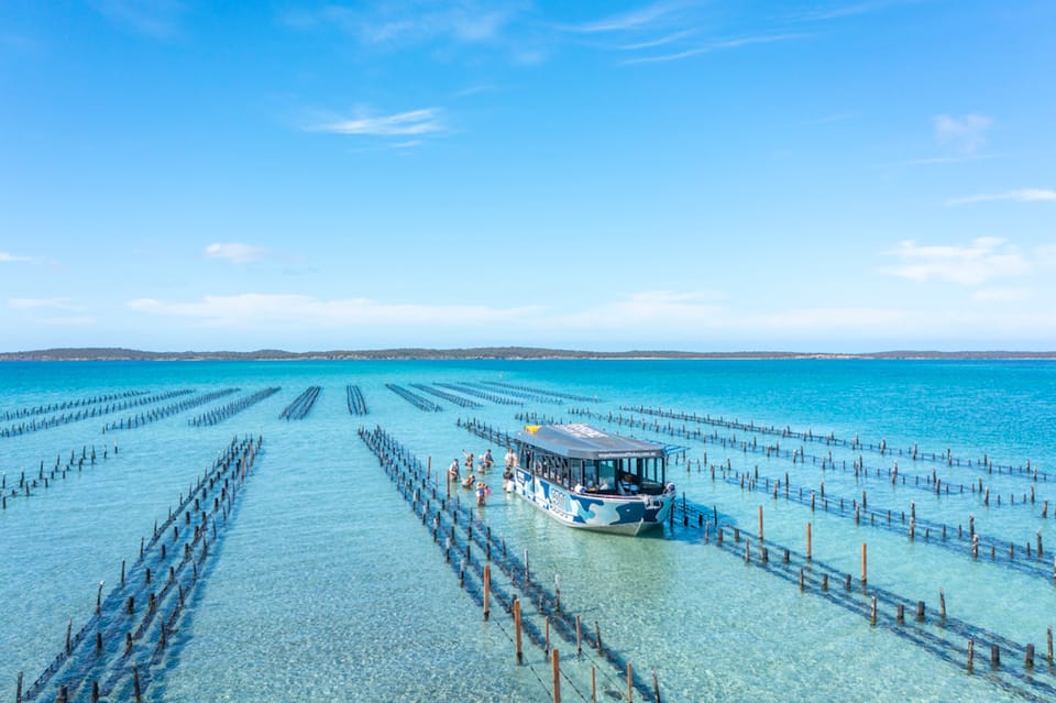 Coffin Bay Oyster Farm Boat Tour with Wading & 12 Oysters GetYourGuide