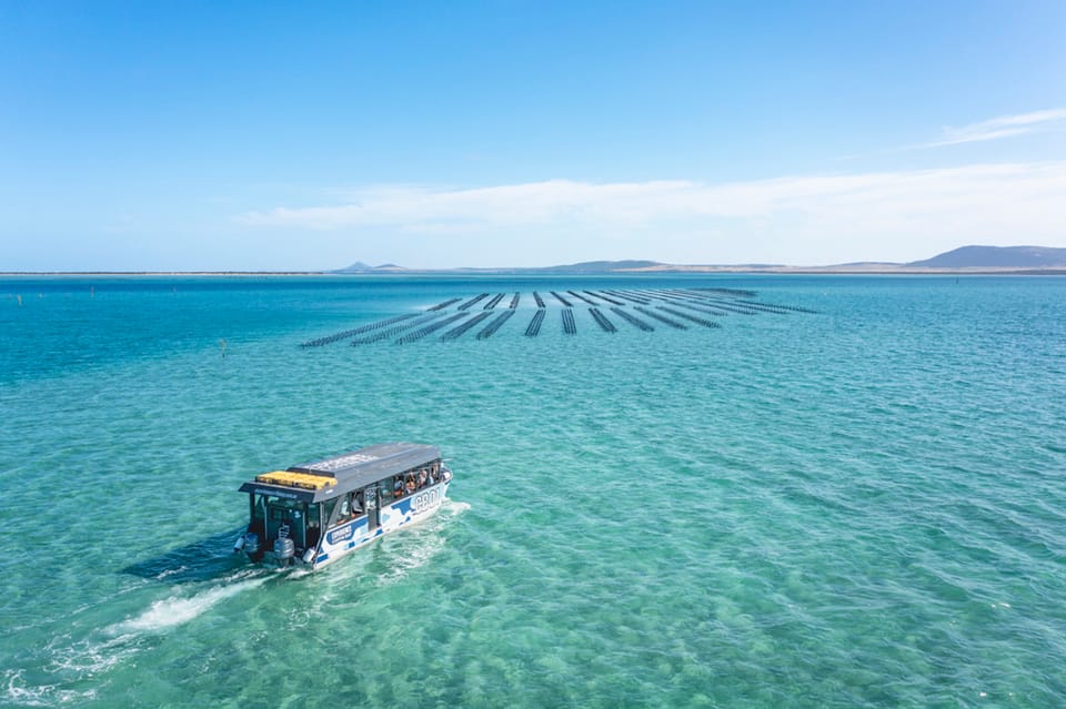 Coffin Bay Oyster Farm Boat Tour with Wading & 12 Oysters GetYourGuide