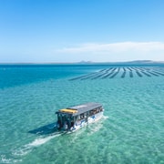 Coffin Bay Oyster Farm Boat Tour With Wading Oysters Getyourguide