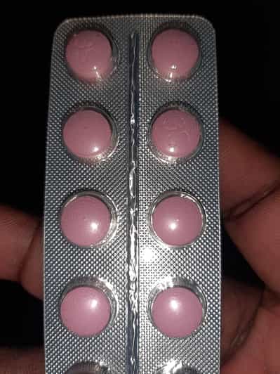 Roatan: Monkeys and Sloths Hangout with Island Tour | GetYourGuide