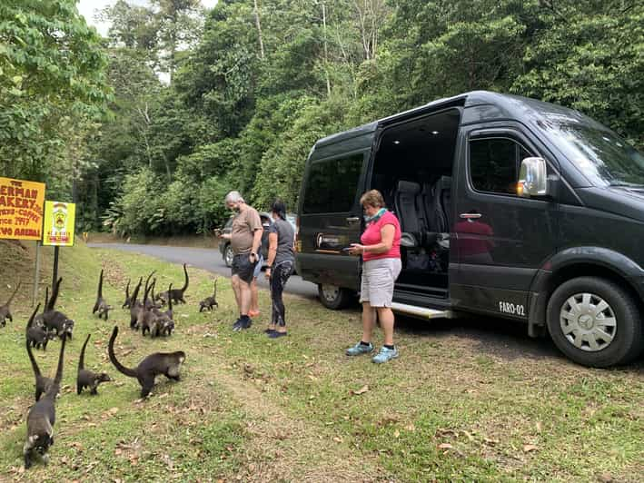 Alajuela: transferencia de 1 vía a La Fortuna o Arenal