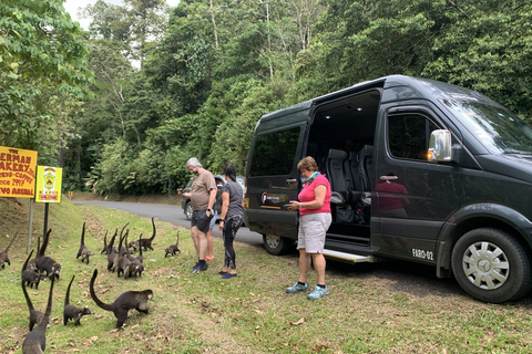 Transporte particular: La Fortuna de Arenal para San JoséTransporte particular