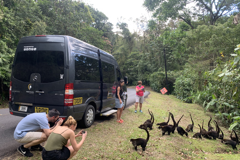 Privat transport: La Fortuna de Arenal till San JosePrivat transport