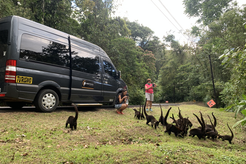 Transport privé : La Fortuna de Arenal à San JoséTransport privé