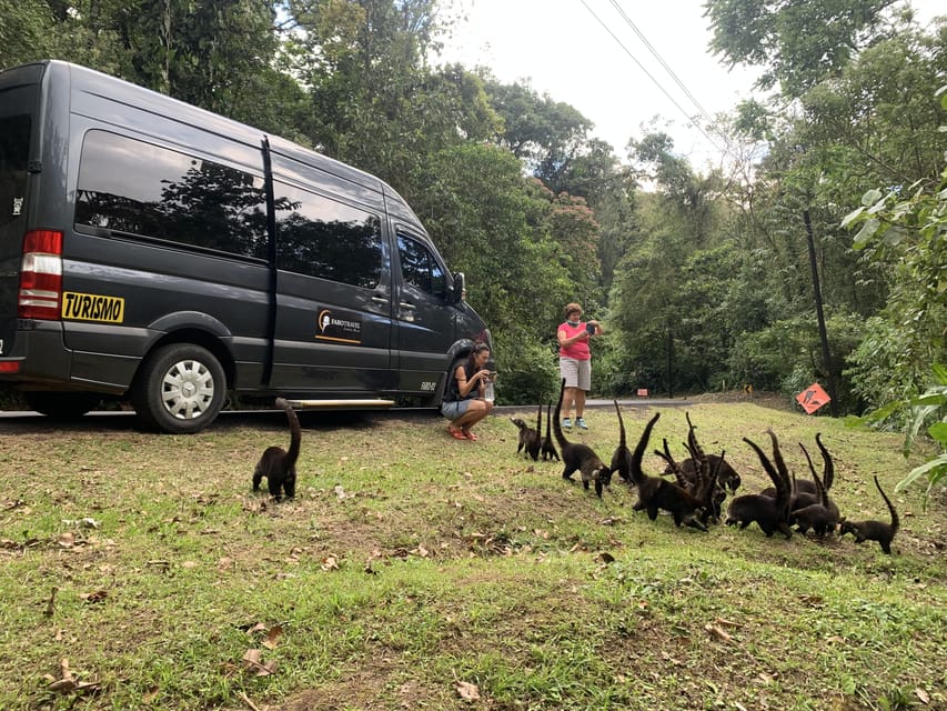 La Fortuna de Arenal Transfer to Manuel Antonio or Quepos GetYourGuide