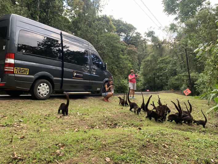 La Fortuna de Arenal Transfer to Manuel Antonio or Quepos GetYourGuide