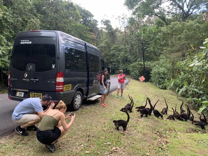 La Fortuna de Arenal Transfer to Manuel Antonio or Quepos GetYourGuide