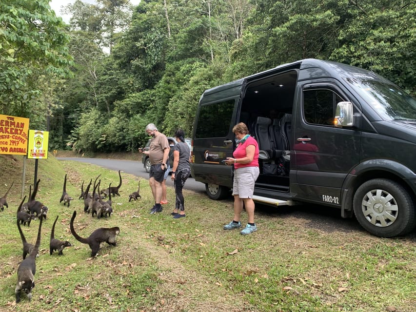 La Fortuna de Arenal Transfer to Manuel Antonio or Quepos GetYourGuide