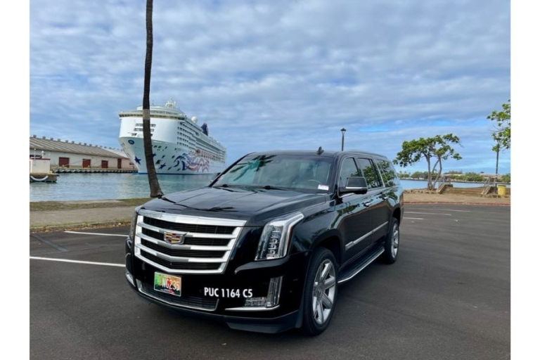 Honolulu: Private Transfer from Harbor to Hotel/Airport