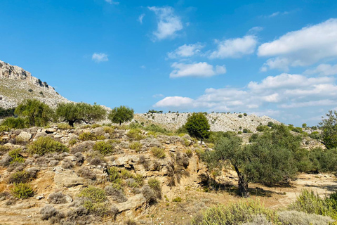 Rhodos: begeleide wandeling naar de Attavyros-berg en de tempel van ZeusOntmoetingspunt