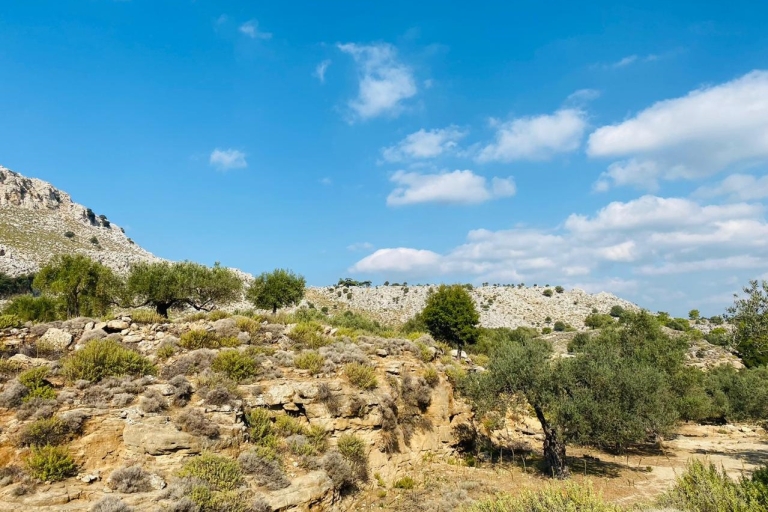 Rhodes: randonnée guidée vers la montagne Attavyros et le temple de ZeusPoint de rencontre