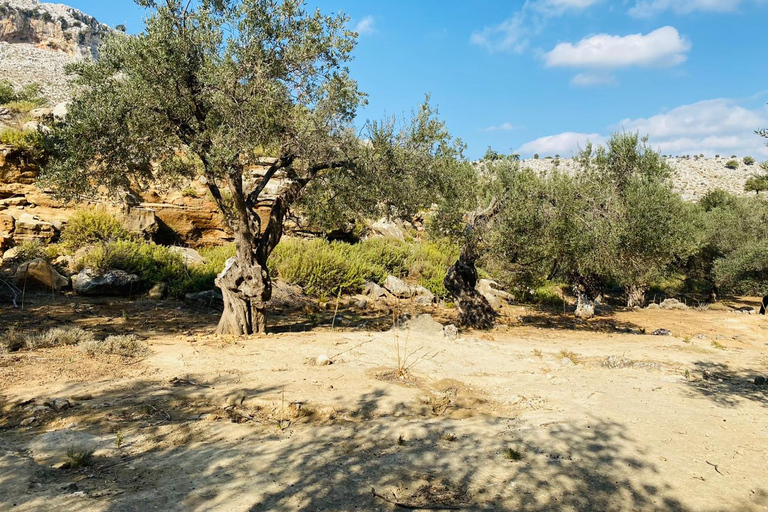 Rhodes: Guided Hike to 7 springs from ArchangelosWith Hotel Pickup &amp; Drop-Off