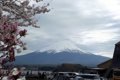 東京発 : 富士山、大崎、京都 4 日間ガイド付きツアー
