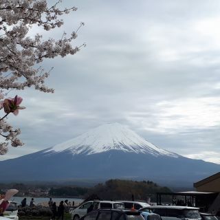 From Tokyo: Mount Fuji, Osaki & Kyoto 4-day Guided Tour