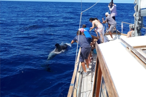 Funchal: wycieczka jachtem z obserwacją delfinów i wielorybówWycieczka z miejscem spotkania