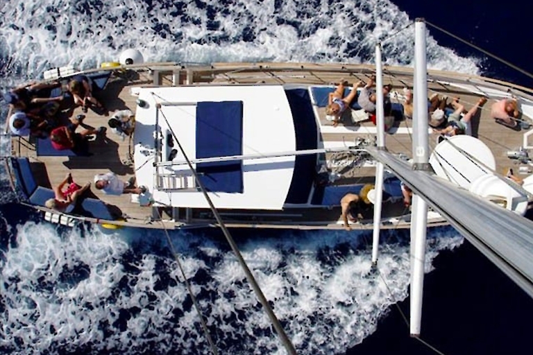 Funchal: tour en yate con avistamiento de ballenas y delfinesTour con Punto de Encuentro