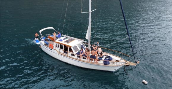 Funchal: Dolphin and Whale Watching Sailing Trip
