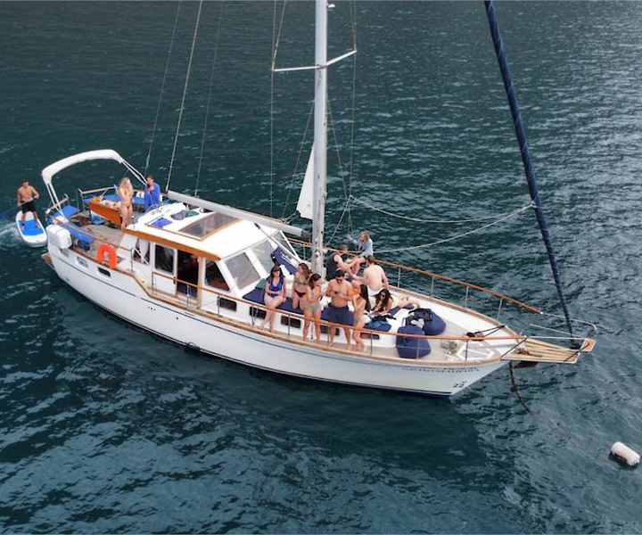 Funchal: Cruzeiro de Observação de Baleias e Golfinhos