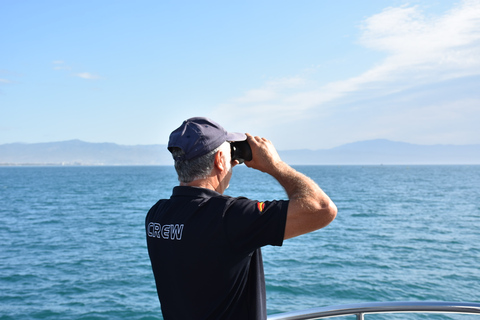 Benalmádena: Tour en barco para avistar delfinesBenalmádena: tour en barco para avistar delfines