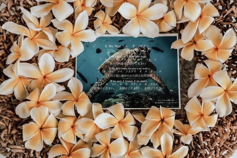 Oahu: Delfinbeobachtung und Schnorchelabenteuer