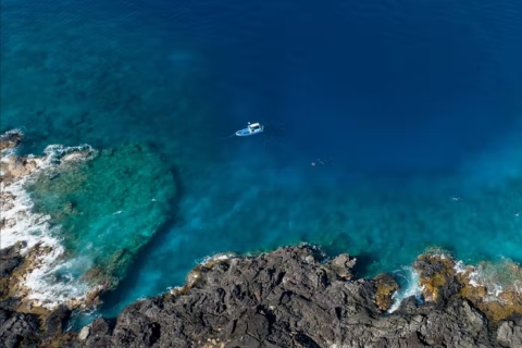 Kona: dolfijnen kijken en dubbele snorkelboottocht met barbecue