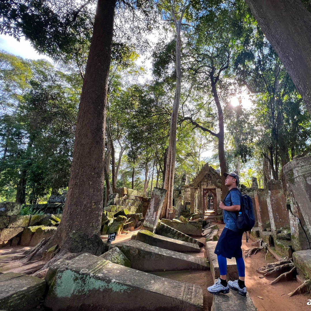 Colagem de mídia