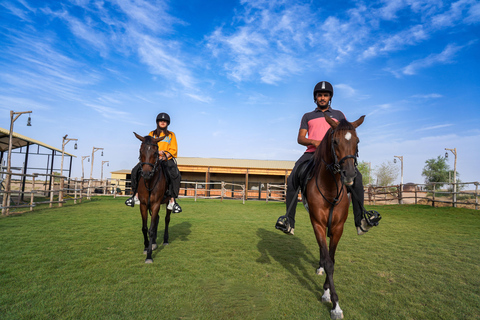 Dubai: Al Marmoom Oasis Horse Riding Experience with Snack 30-Minute Horse Ride with Hotel Pickup and Drop-Off