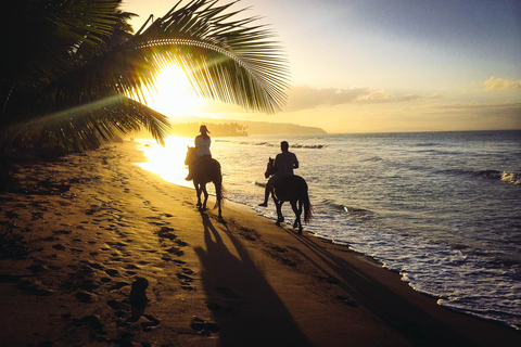 COSTA RICA:UPPTÄCK COSTARICAS VILDA DJUR-STRAND &amp; SKOG 2VECKOR