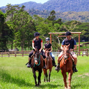 Kuranda: 60-minute Guided Horse Trail Ride & Petting Farm