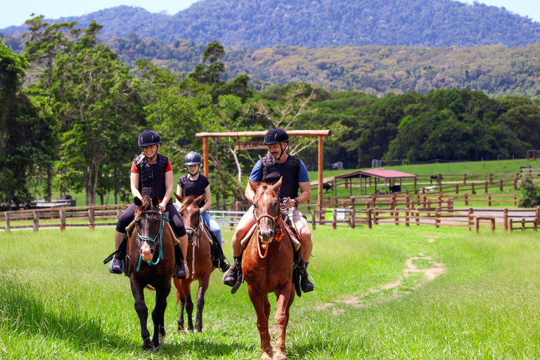 Cairns: Paseo a caballo por el pueblo de Kuranda y visita al zoo de mascotas