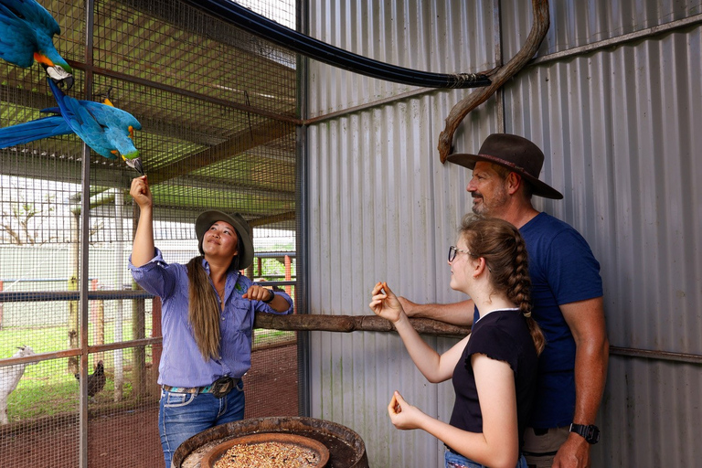 Halvdagstur till Kuranda med djurpark och ridturCairns: Kuranda Village Horse Ride och besök på djurparken