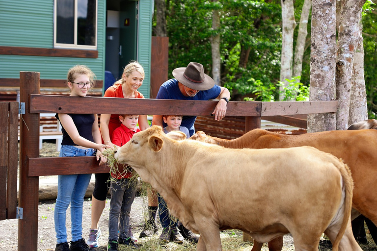 Cairns: Paseo a caballo por el pueblo de Kuranda y visita al zoo de mascotas