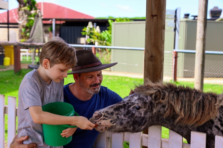 Desde Cairns: Excursión de un día a Kuranda con zoológico de mascotas y paseo en quadDesde Cairns: Excursión en quad con zoológico de mascotas y pueblo de Kuranda