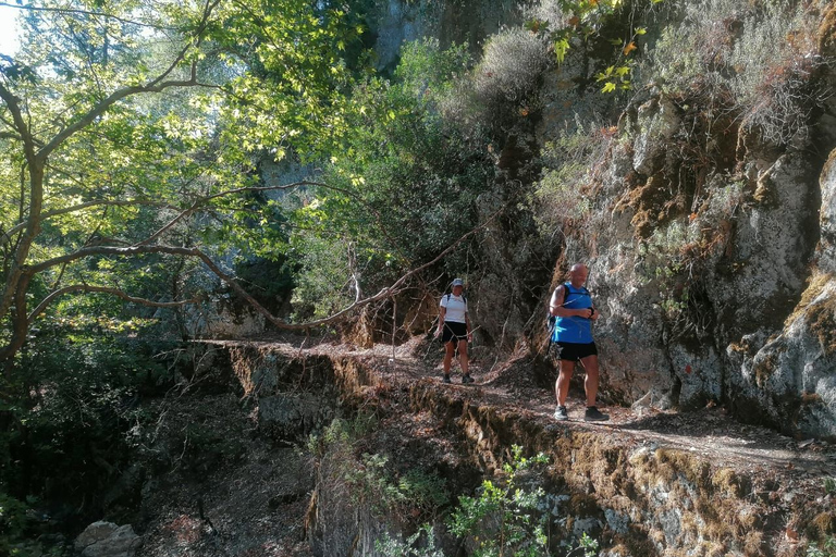 Rhodes: Guided Hike to 7 springs from ArchangelosWith Hotel Pickup &amp; Drop-Off