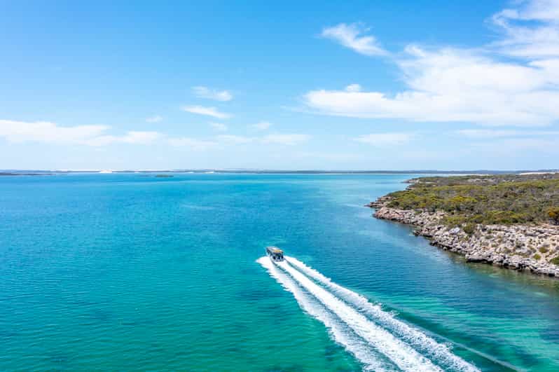 Coffin Bay Oyster Farm Scenic Cruise incl 6 Fresh Oysters GetYourGuide